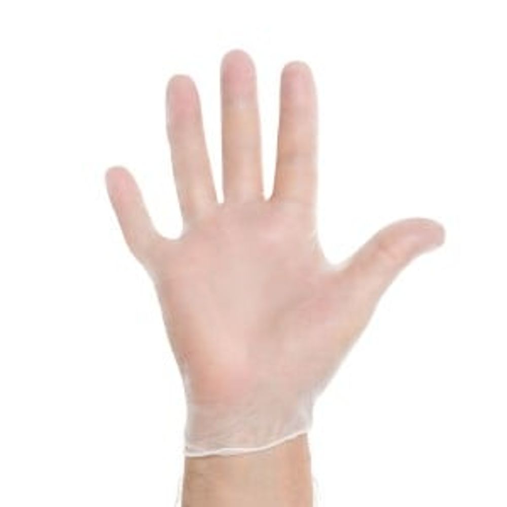 Gloves, Vinyl, powder-free, X-large, ambidextrous, transparent
